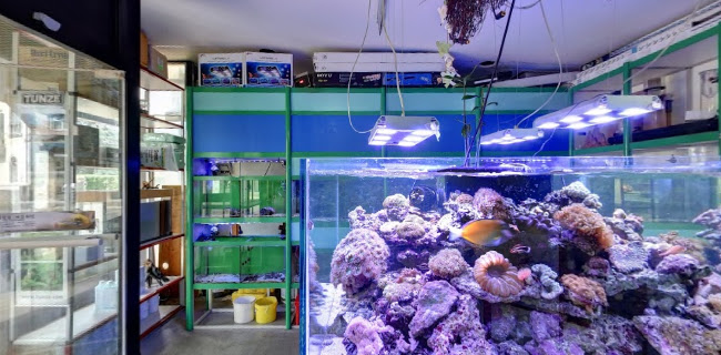 AQUA-HOME - Geschäft