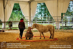 Photo n°9 de Equicoaching Events à Ury (Coaching professionnel)
