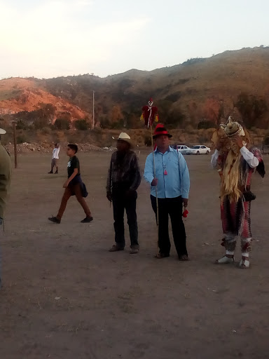 Avansa Local - Visual