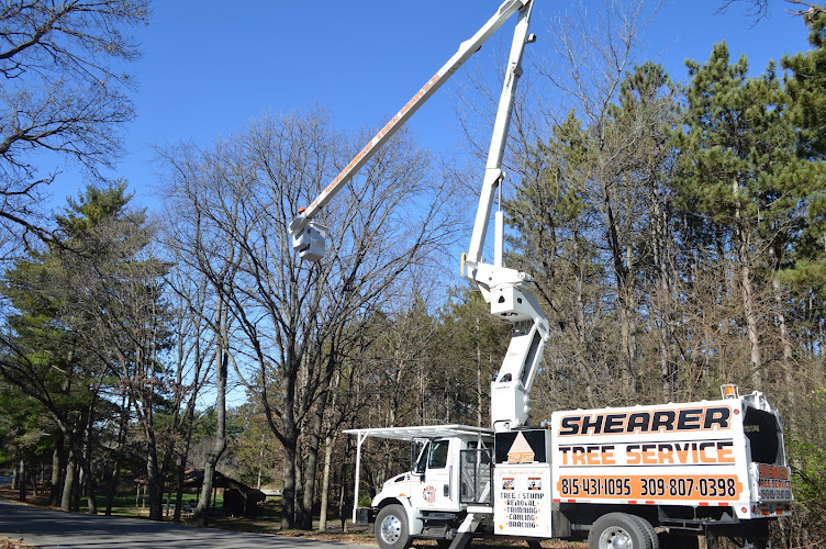 Shearer Tree Service LLC