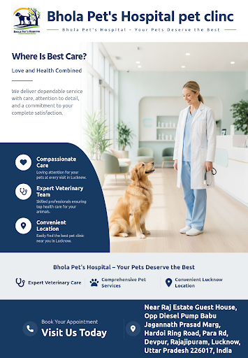 Bhola Pet's Hospital offers comprehensive pet clinic services with professional care for your pet… post image