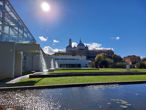 University of Padua Botanical Garden - Thumbnail