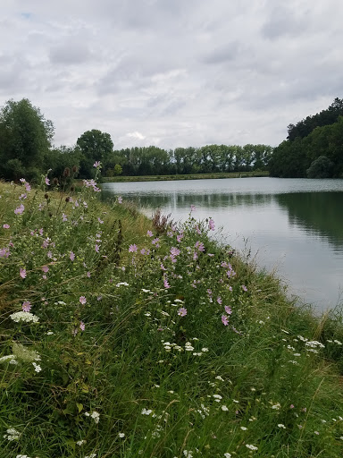 Hängsberg Greußen - Visual