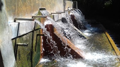 Photos of Diya Bubula Stores