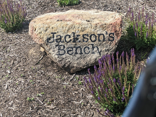 Jackson's Bench - Thumbnail