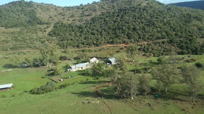 Photos of Tootabi Hunting Safaris