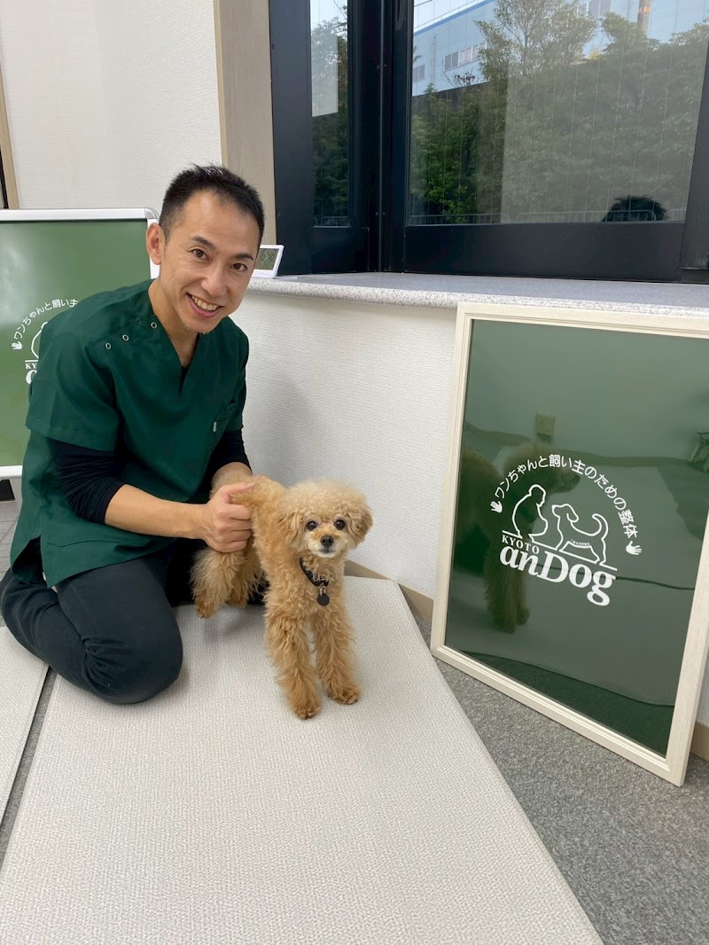 anDog ワンちゃんと飼い主のための整体 犬の整体 ペット整体