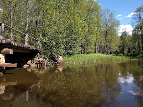 Paukjärve loodusrada