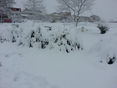 Photos of U&ccedil;urtma Parkı
