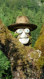 Photo n°21 de Domaine de la Fraite à Thoiria (Terrain de camping)