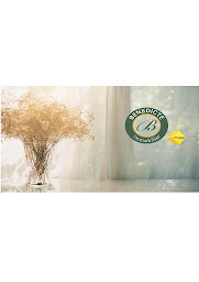 Photo n°1 de Bénédicte Immobilier à Perpignan (Agence immobilière)