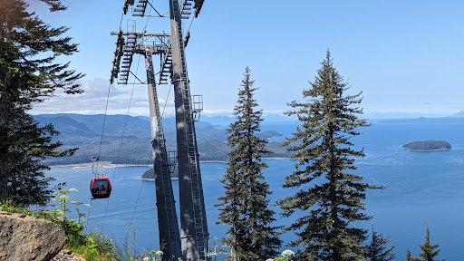 Skyglider Gondola