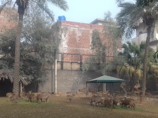 Mini Zoo, Gulberg, Author: Pakistan Zindabad