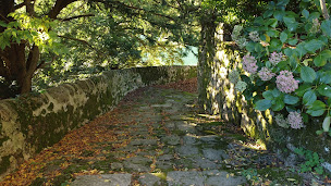 Photo n°12 de Château de Grozon à Saint-Barthélemy-Grozon (Château)