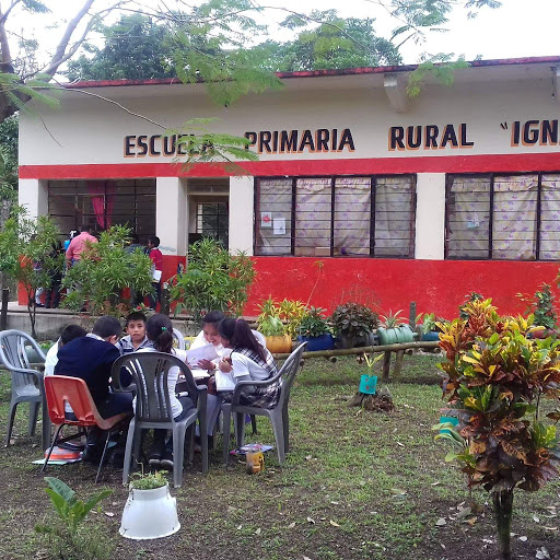 Escuela Primaria Rural Federal "Ignacio Ramirez" - Thumbnail