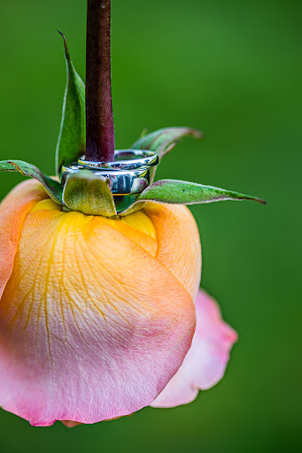 Nursery Fresh Floral Design - Thumbnail