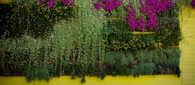 Photos of Jardines Verticales