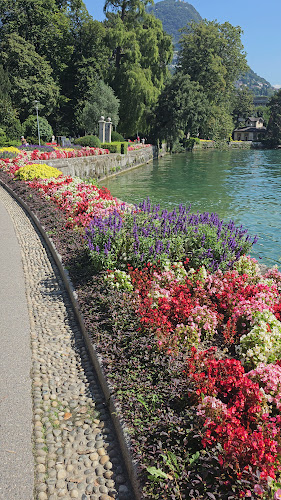 https://www.ticino.ch/it/commons/details/Parco-Ciani/85874.html