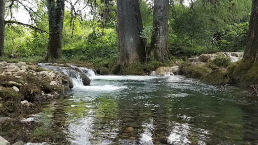 Río Gallitos - Thumbnail