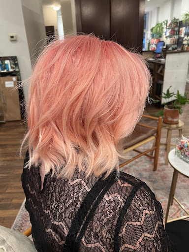 CLOVE HAIR SALON
