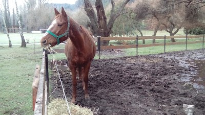 Photos of Caba&ntilde;as Los Robles