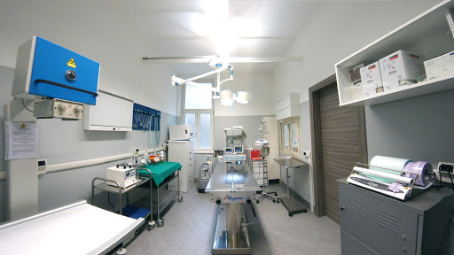 Ambulatorio Veterinario Chieri - Thumbnail