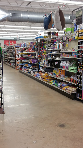 Pointers Ace Hardware (True Value) - Visual