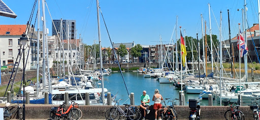 Zeehondensafari & Rondvaart Zeeland - Thumbnail