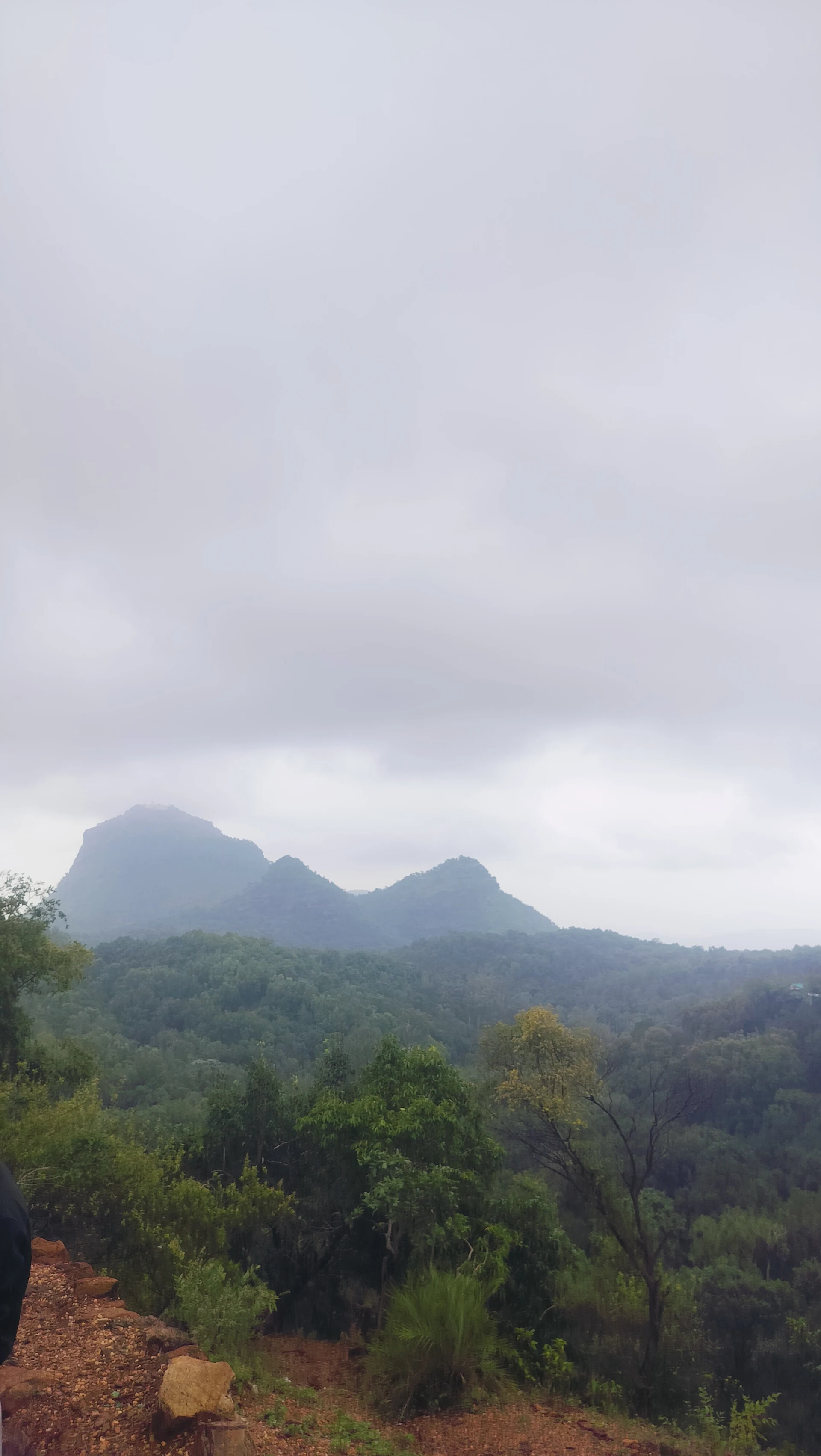 Tiwari tour and travels pipariya to pachmadi world tour and travels