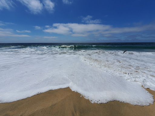 Gray Whale Cove State Beach - Thumbnail