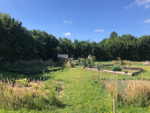 Stichting Marlin Yard
