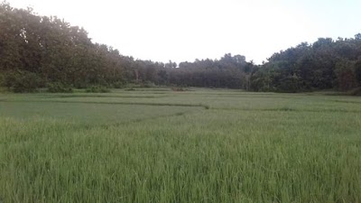 Photos of Mawlana bari