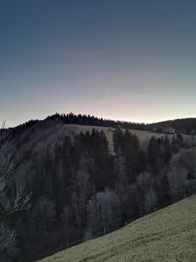 Bannwald Parkplatz - Thumbnail
