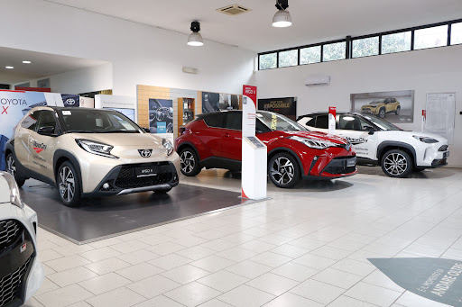 Toyota Motor City Pomezia - Thumbnail