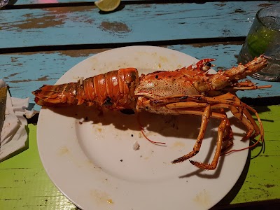 Photos of Enjoy Restaurant and Bar