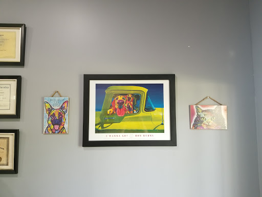 Advanced Pet Services Gallery - United States
