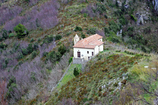 Hermitage of Our Lady of the Olive trees Logo