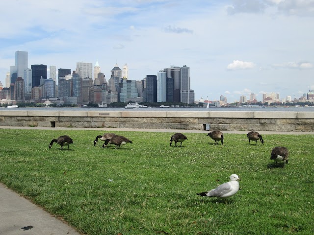 Ellis Island