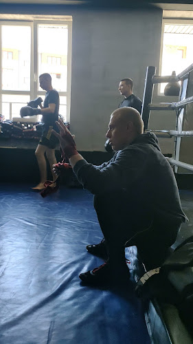 http://www.dragonfightclub.com/