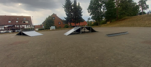 Große Hansa-Wiese - Thumbnail