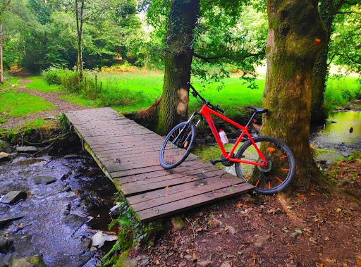 Saint-Martin Woods - Thumbnail