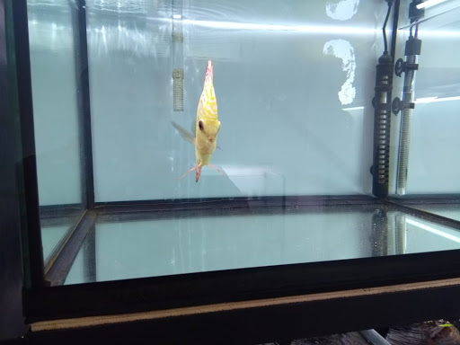 Habitat Nature Aquariums - Thumbnail