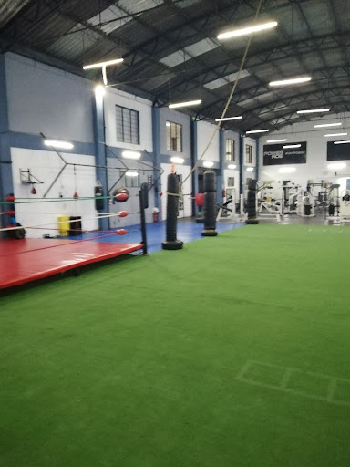 Stronger Aragon. Integral Training Center - Thumbnail