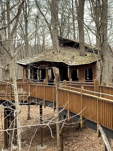 Mt Airy Forest Park - Thumbnail