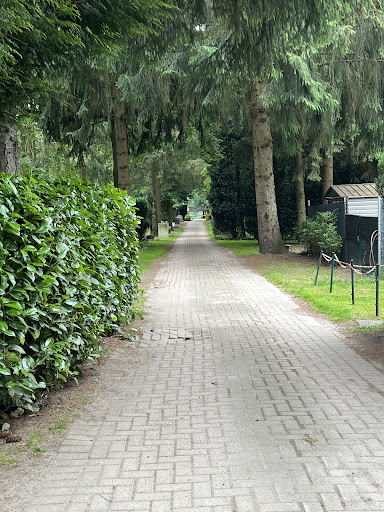 Campingplatz Waldoase-Merzen UG - Thumbnail