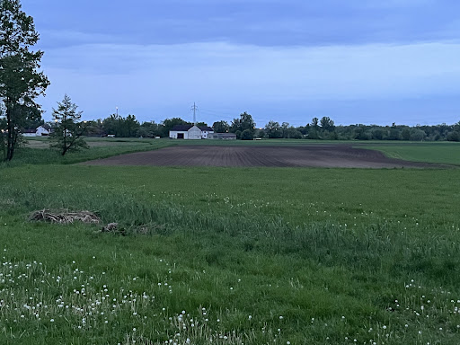 Sirene Karpfenweg