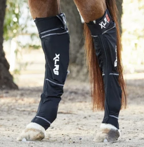 Equine Edge Body Balance - Thumbnail