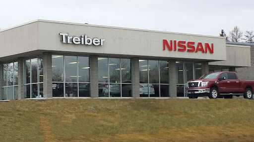 Treiber Nissan