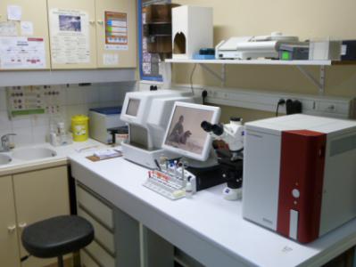 Numéro de téléphone de Clinique vétérinaire Univet Semur en Auxois