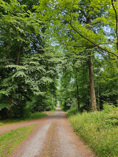 Kirchwald - Thumbnail